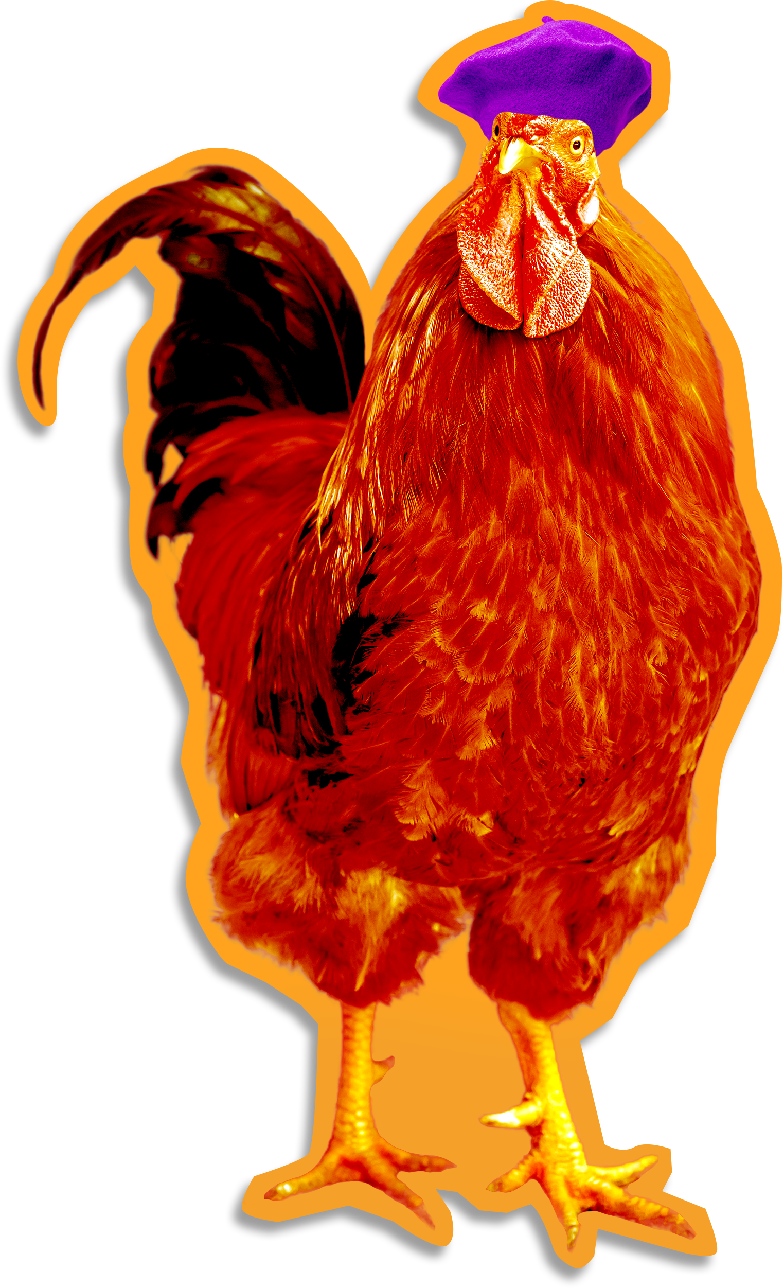 Roger the Rooster and his distinctive purple béret