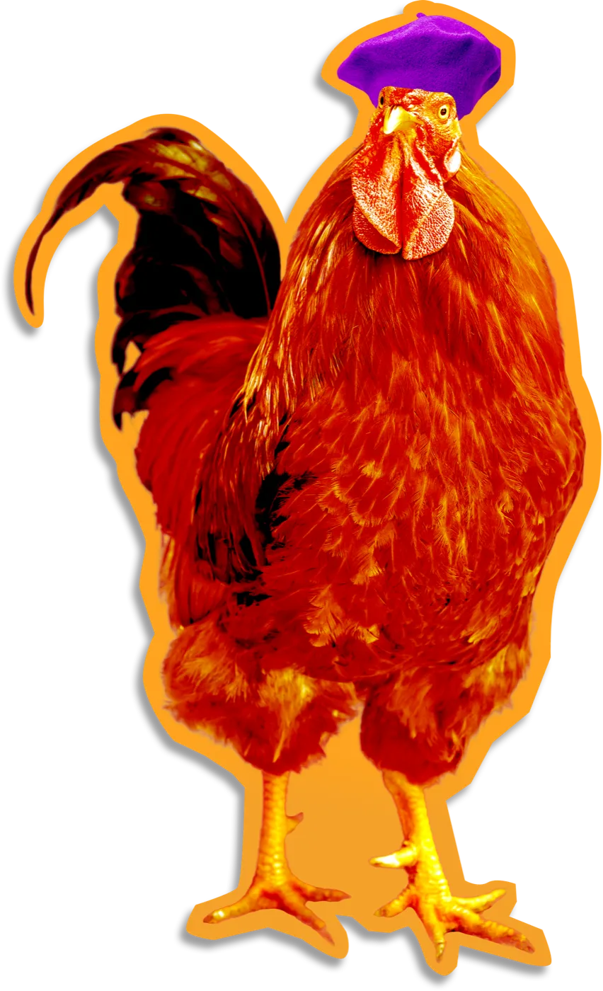 Roger the Rooster, STFO's mascot: a French rooster with a purple béret