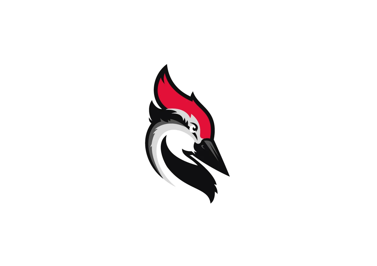 Woodpecker.co mascot: Woody (woodpecker) — name unconfirmed by company sources